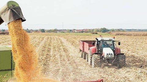 Agricultural Export