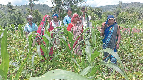 Rural Development