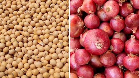 Soybean Rate