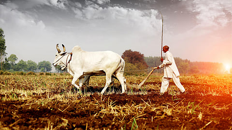 Indian Agriculture