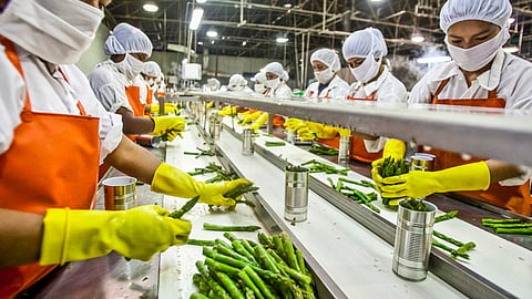 Food Technology