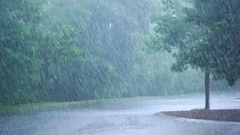 Heavy Rainfall