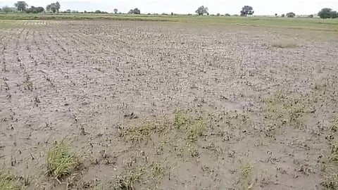 Heavy Rainfall