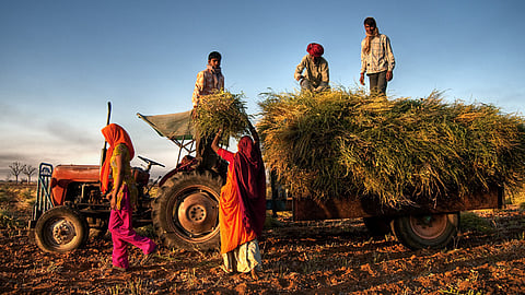 Agriculture Business