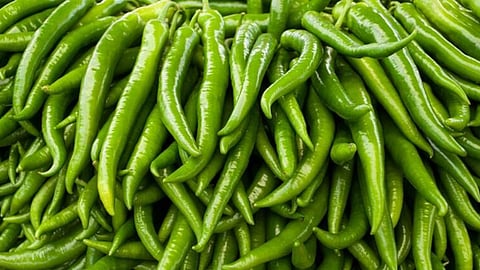 Green Chilies Rate