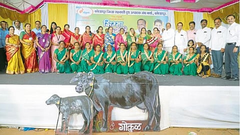 Buffalo Rearing