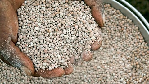 Fertilizer 