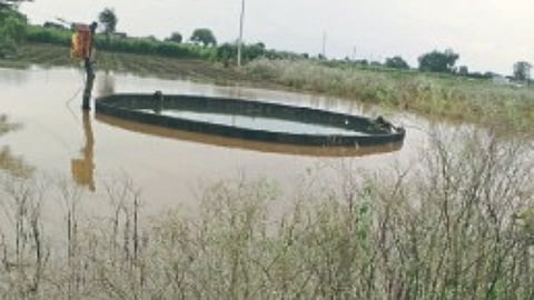 Crop Damage