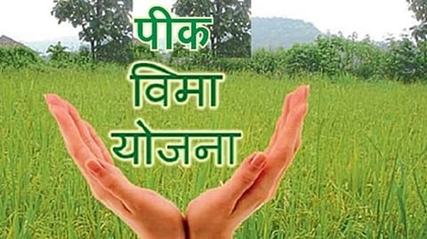 Crop Insurance