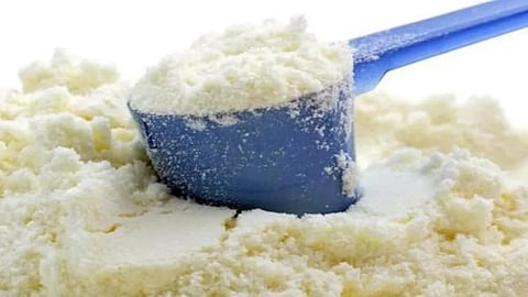 Milk Powder