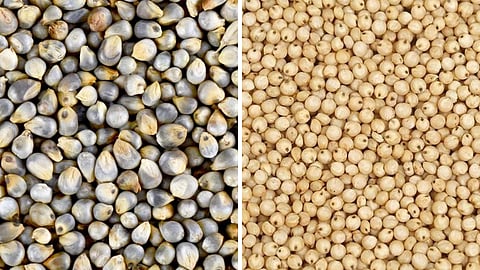 Jowar Bajri Rate