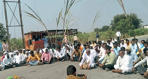 Sugar Cane FRP