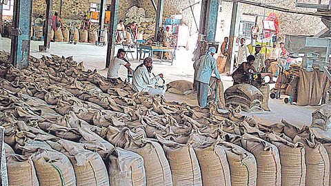 Sugar Export