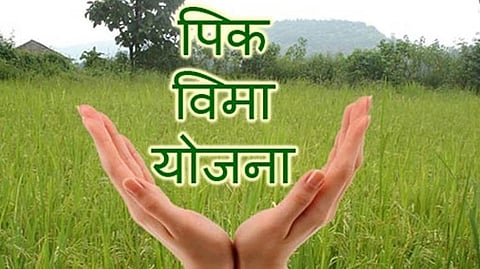 Crop insurance