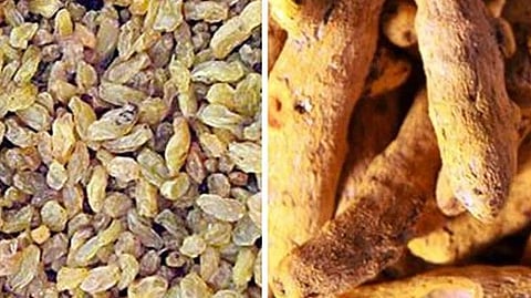 Micro Food Processing Scheme