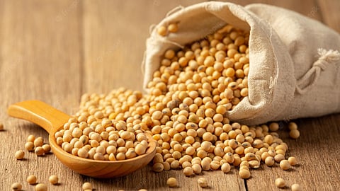 Soybean Rate