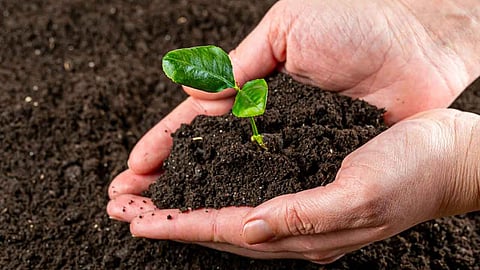Soil Health 