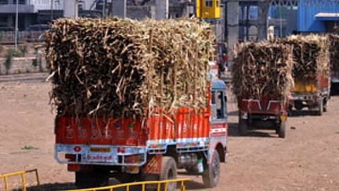 Sugarcane Transportation 