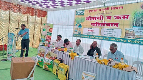 Mosambi Production  : सततच्या अतिवृष्टीमुळे मोसंबी उत्पादनात घट