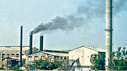Sugar Cane FRP
