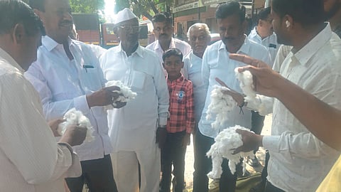 Cotton Arrival Baramati