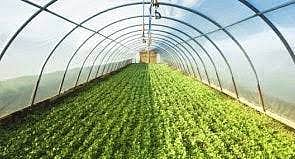 Farmer Fraud