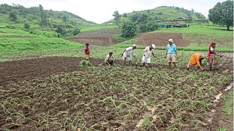 National Council of Agricultural Research 