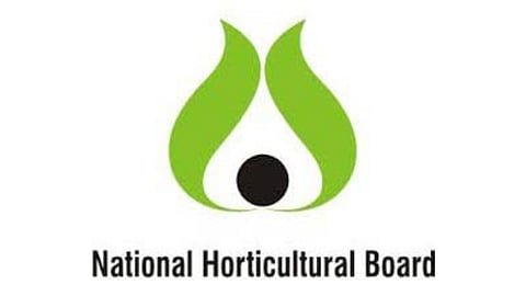 NHB Subsidy