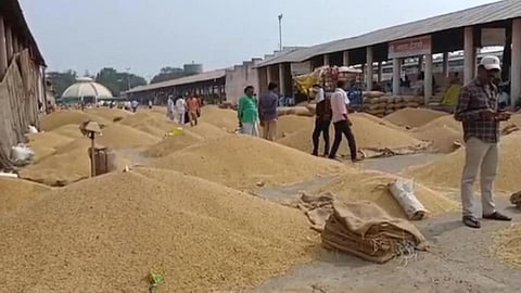 Soybean Rate 