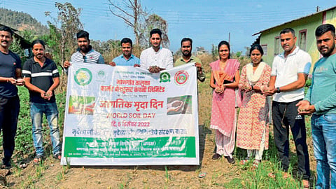 Soil Test