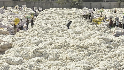 Cotton Rate