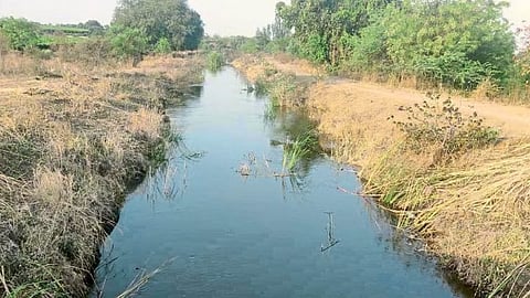 Irrigation Scheme 