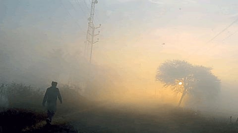 Cold Weather Nashik