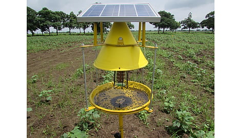 Solar Light Insect Traps 