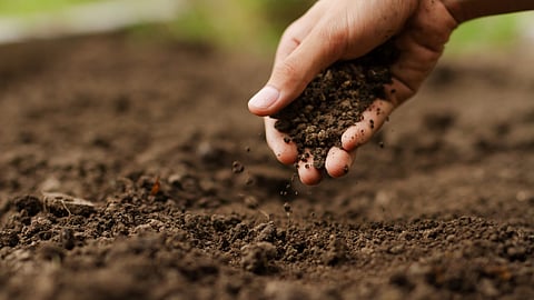 Soil Health