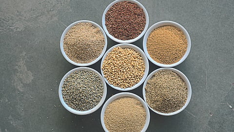 Millet 