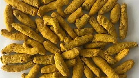 Turmeric Market