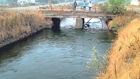 Irrigation Department