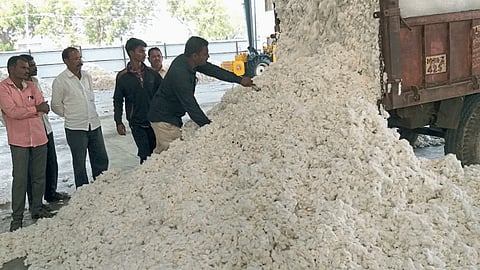 Cotton Market