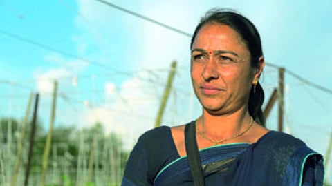  Sangita Pingale