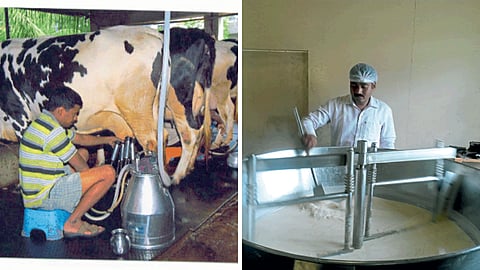 Dairy Processing