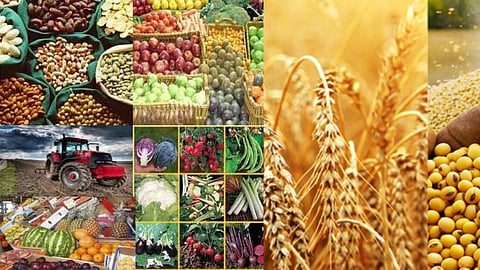  Agricultural Festival