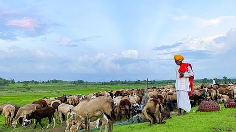 Rural 