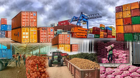 Food Export 