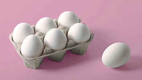 Egg Rate | Winter Egg Rate | Egg prices shot up on winter demand | Egg Demand | Poultry Industry