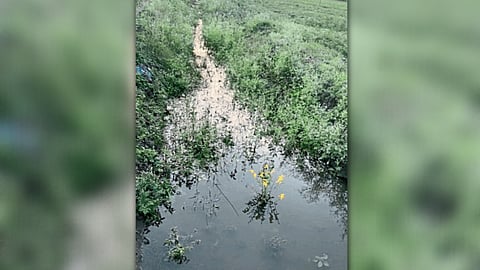 Water Wastage