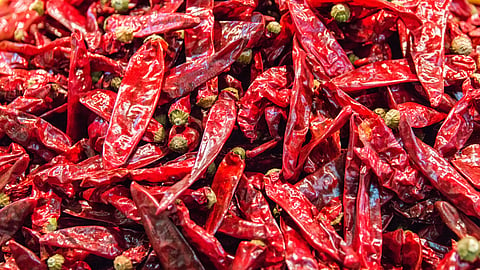 Chilli Market