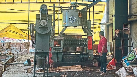 Cashew Oil Production 