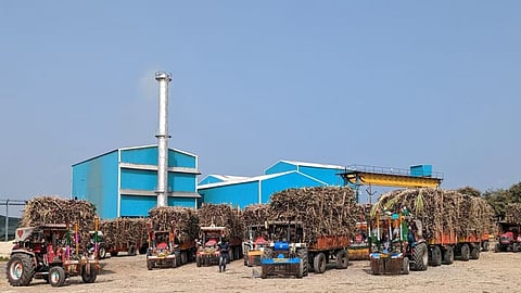 Sugar Export