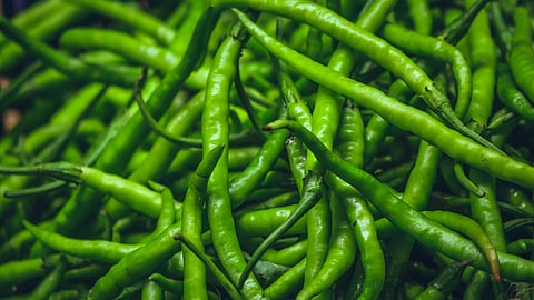 Chilli Market 